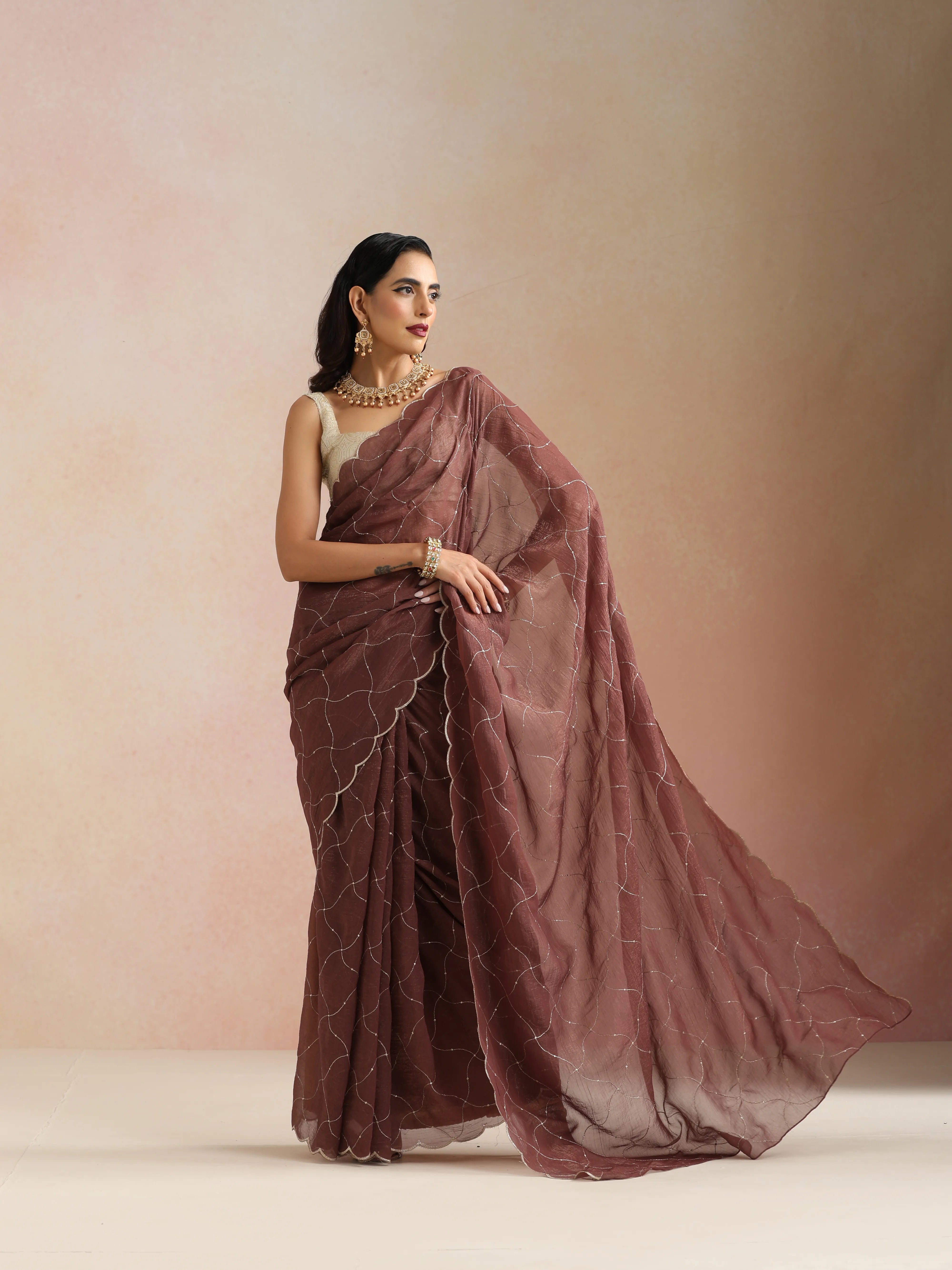 trueBrowns Copper Zari Jaal Embroidered Saree With Unstitched Blouse