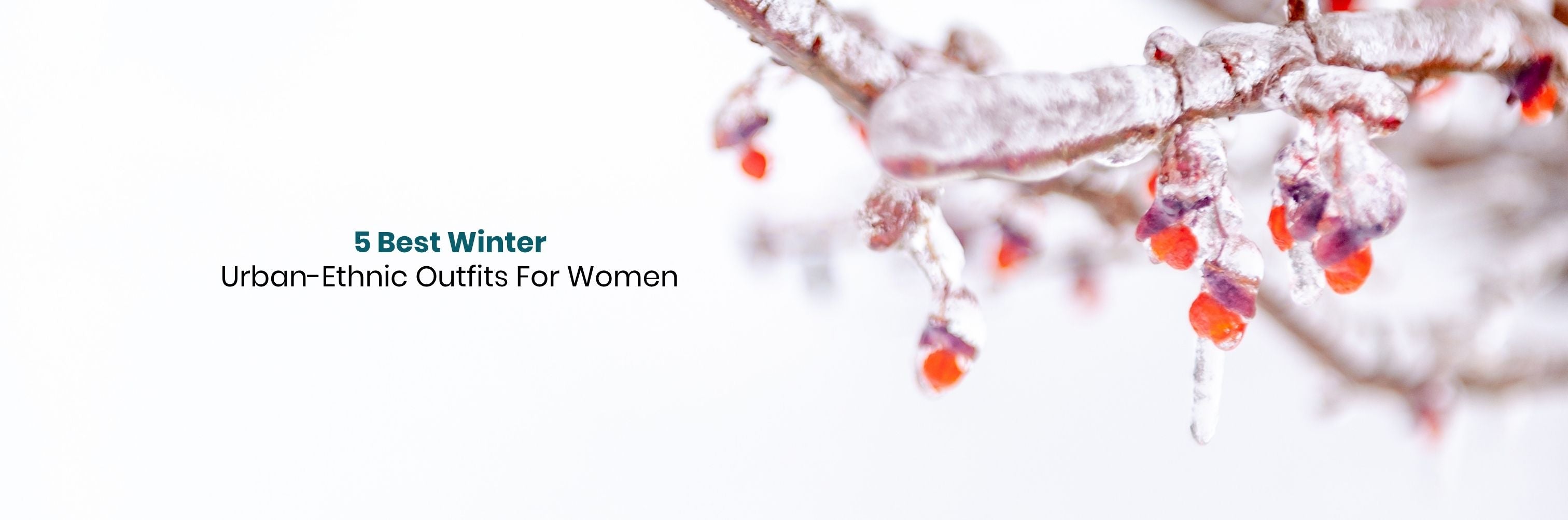 Winter wear for women