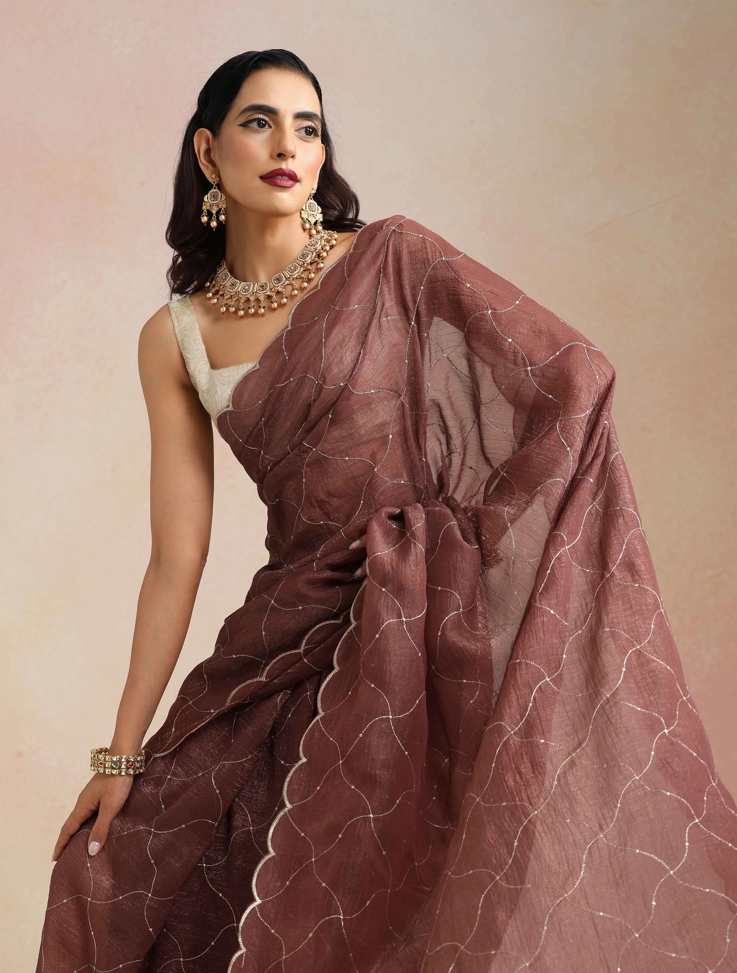 trueBrowns Copper Zari Jaal Embroidered Saree With Unstitched Blouse