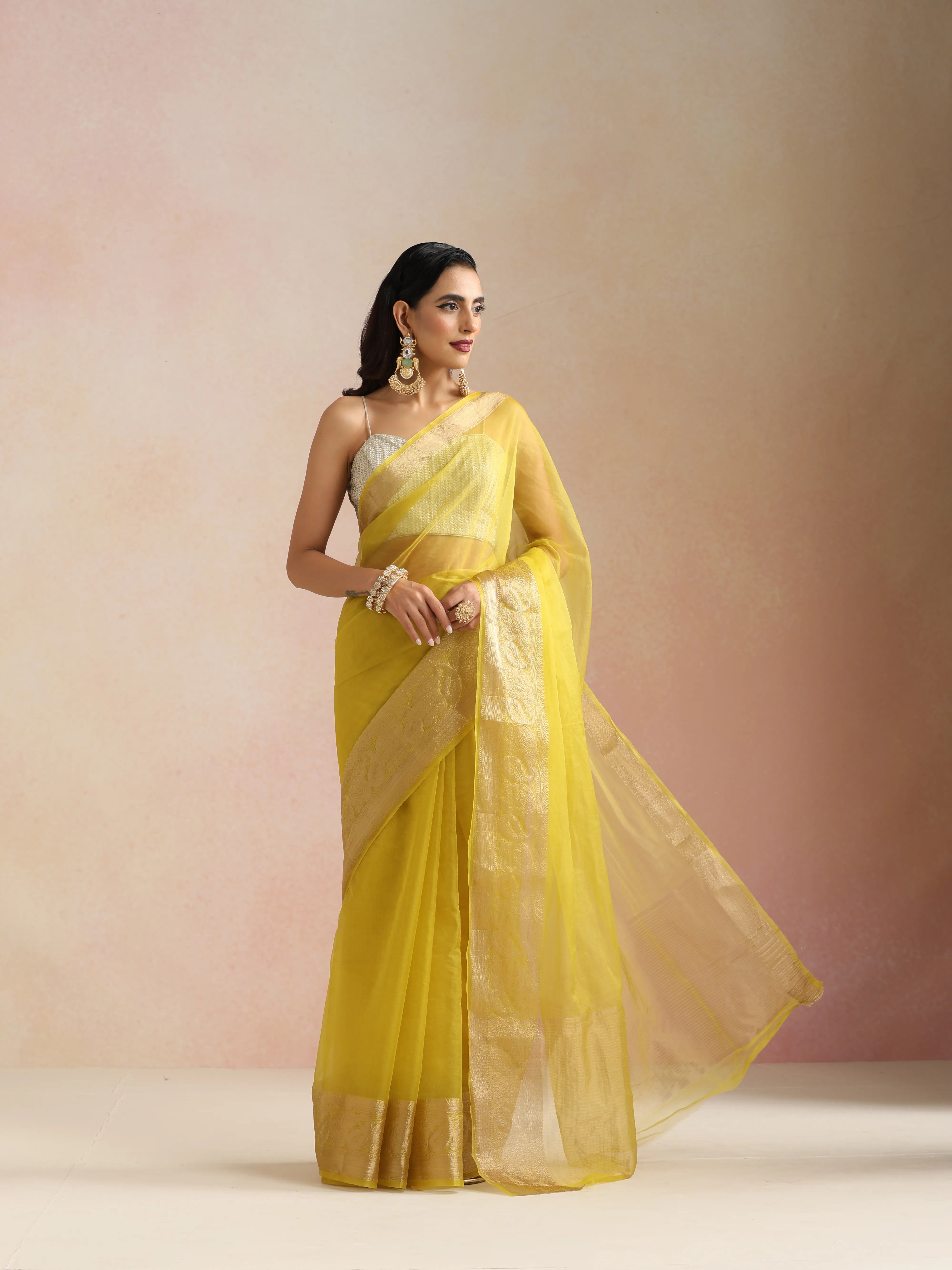 trueBrowns Lime Organza Saree With Unstitched Blouse