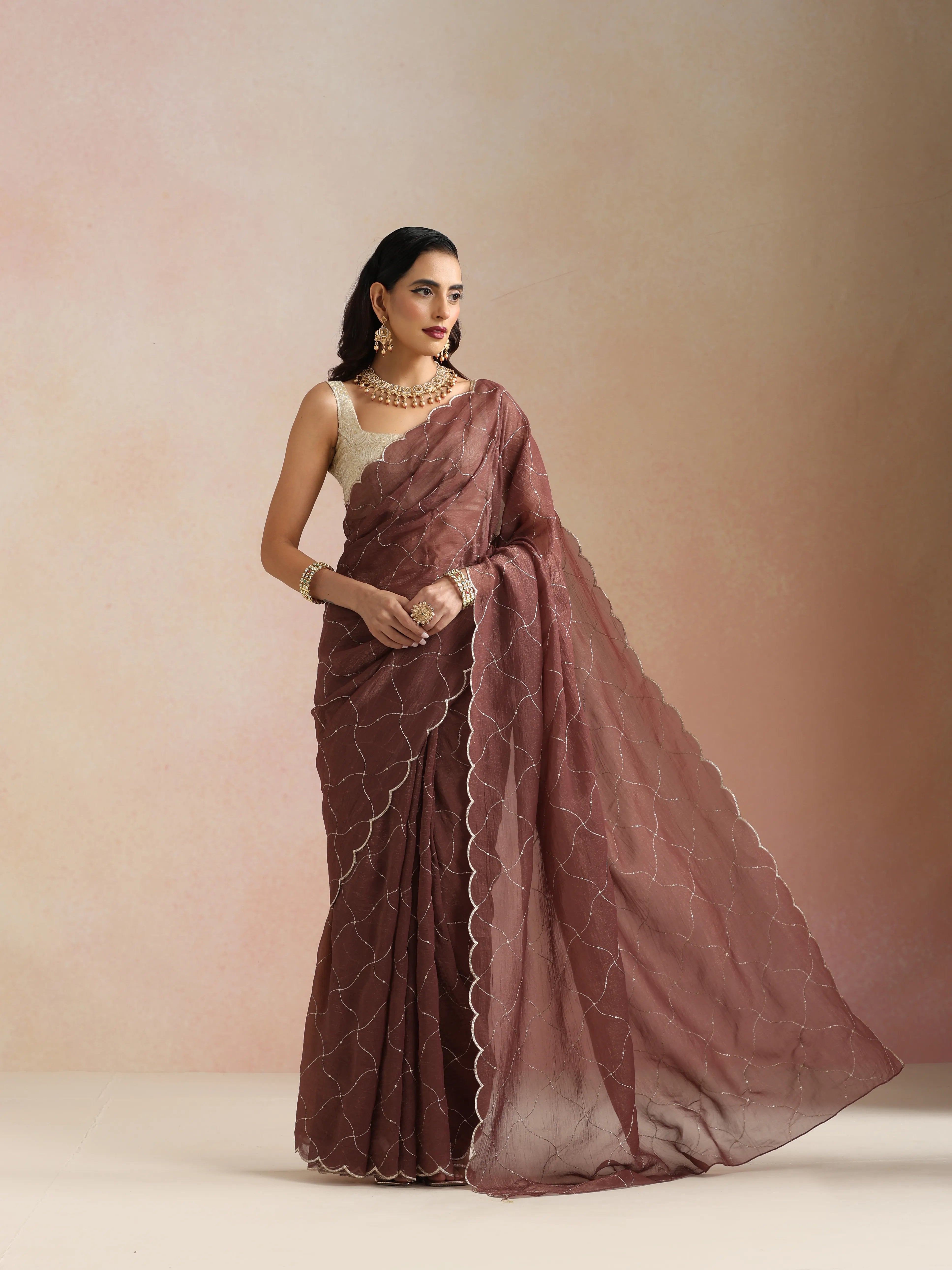 trueBrowns Copper Zari Jaal Embroidered Saree With Unstitched Blouse