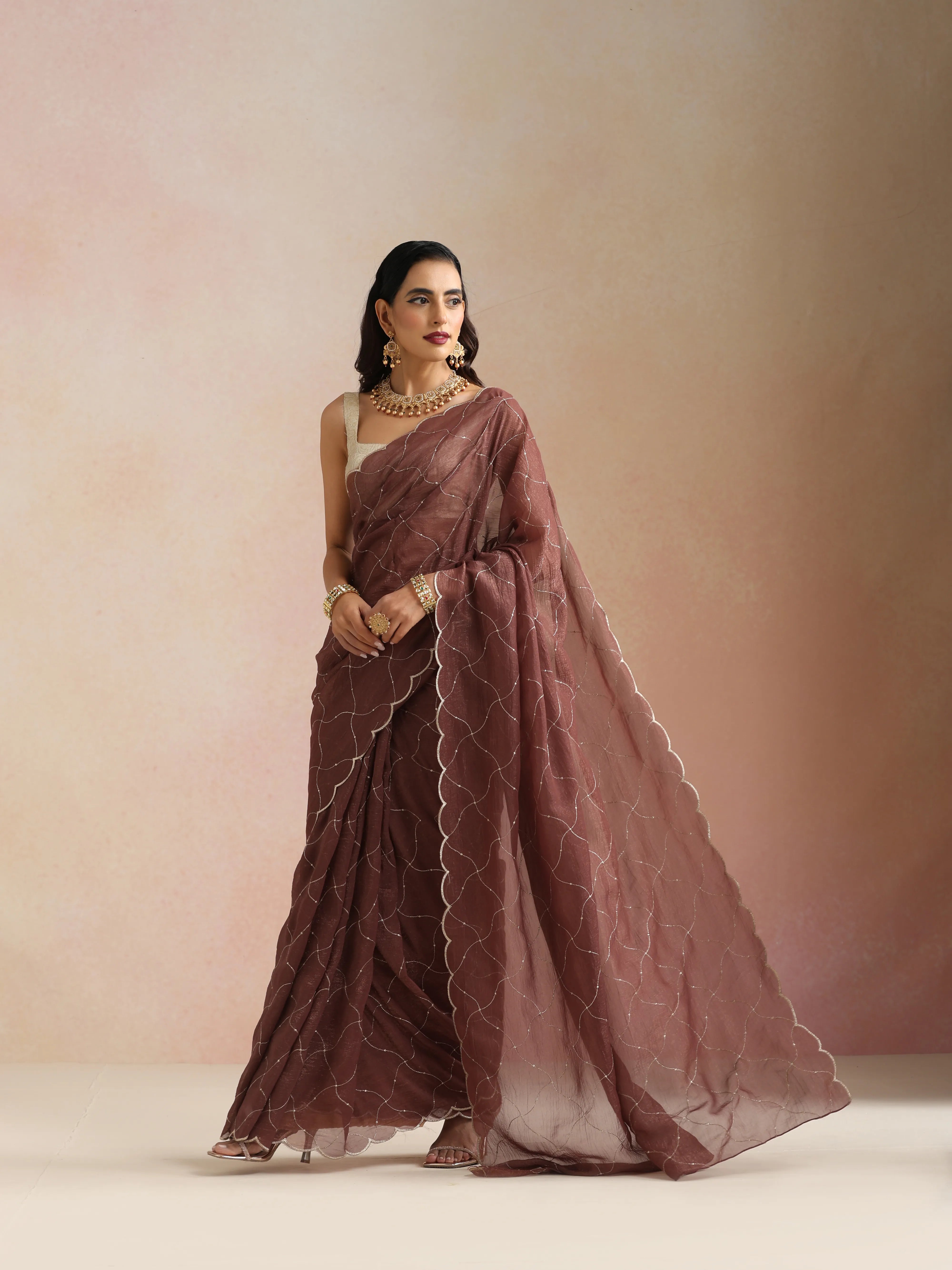 trueBrowns Copper Zari Jaal Embroidered Saree With Unstitched Blouse