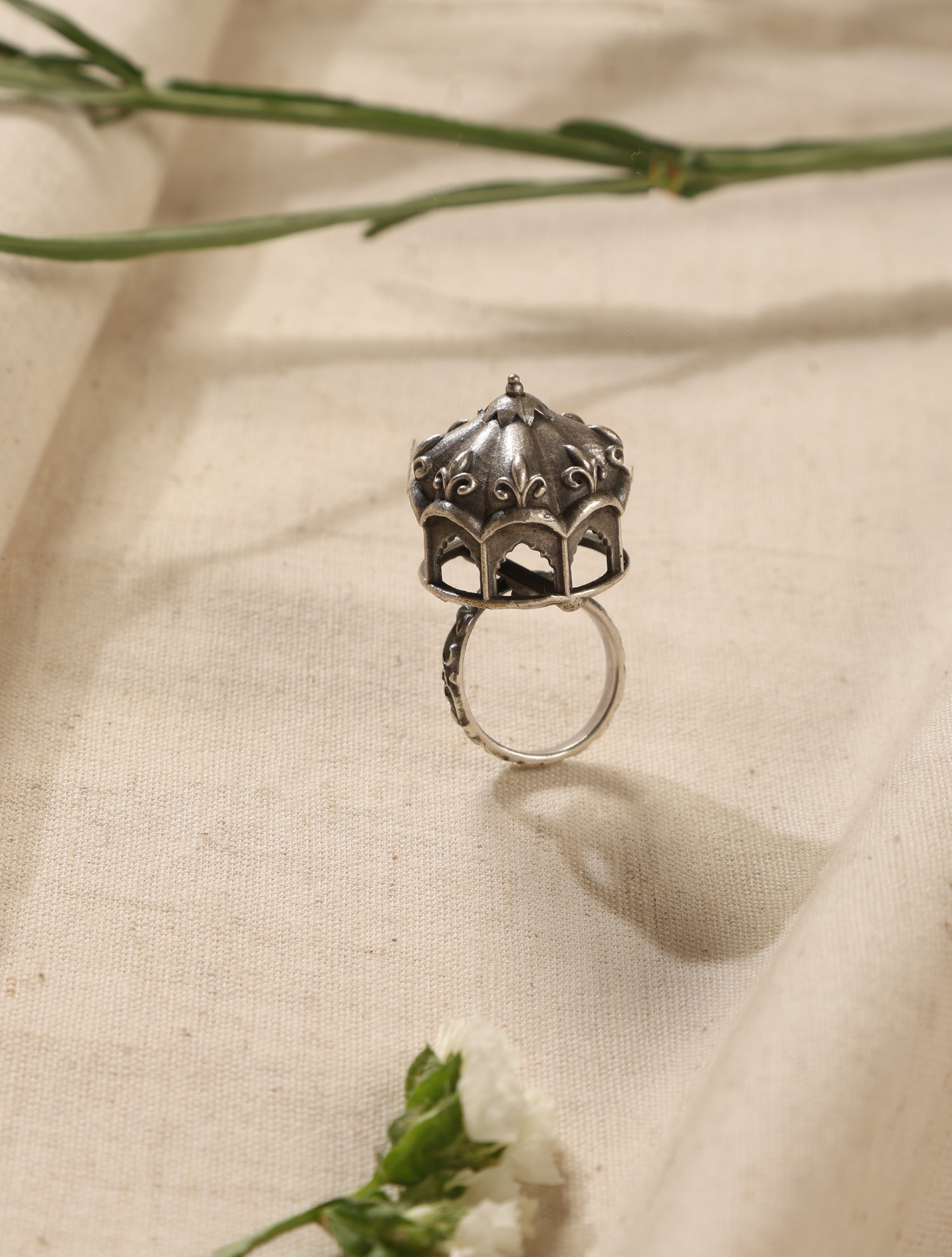 trueBrowns Silver Carousel Ring