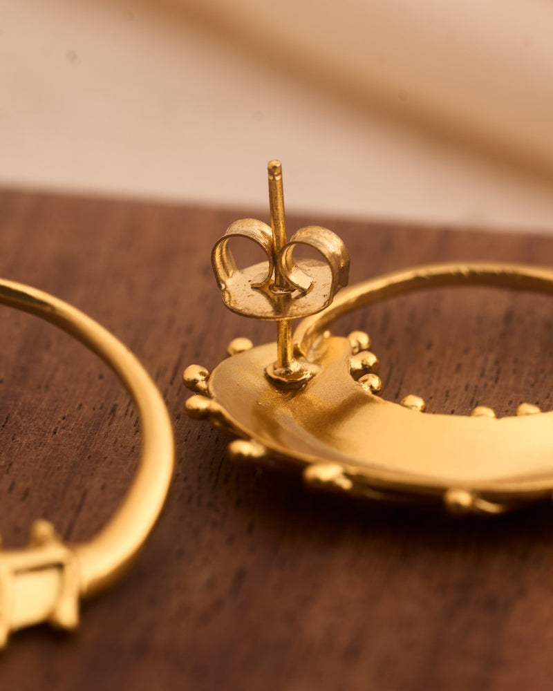trueBrowns 22K Gold-Plated Circular 3D Leaf Earrings