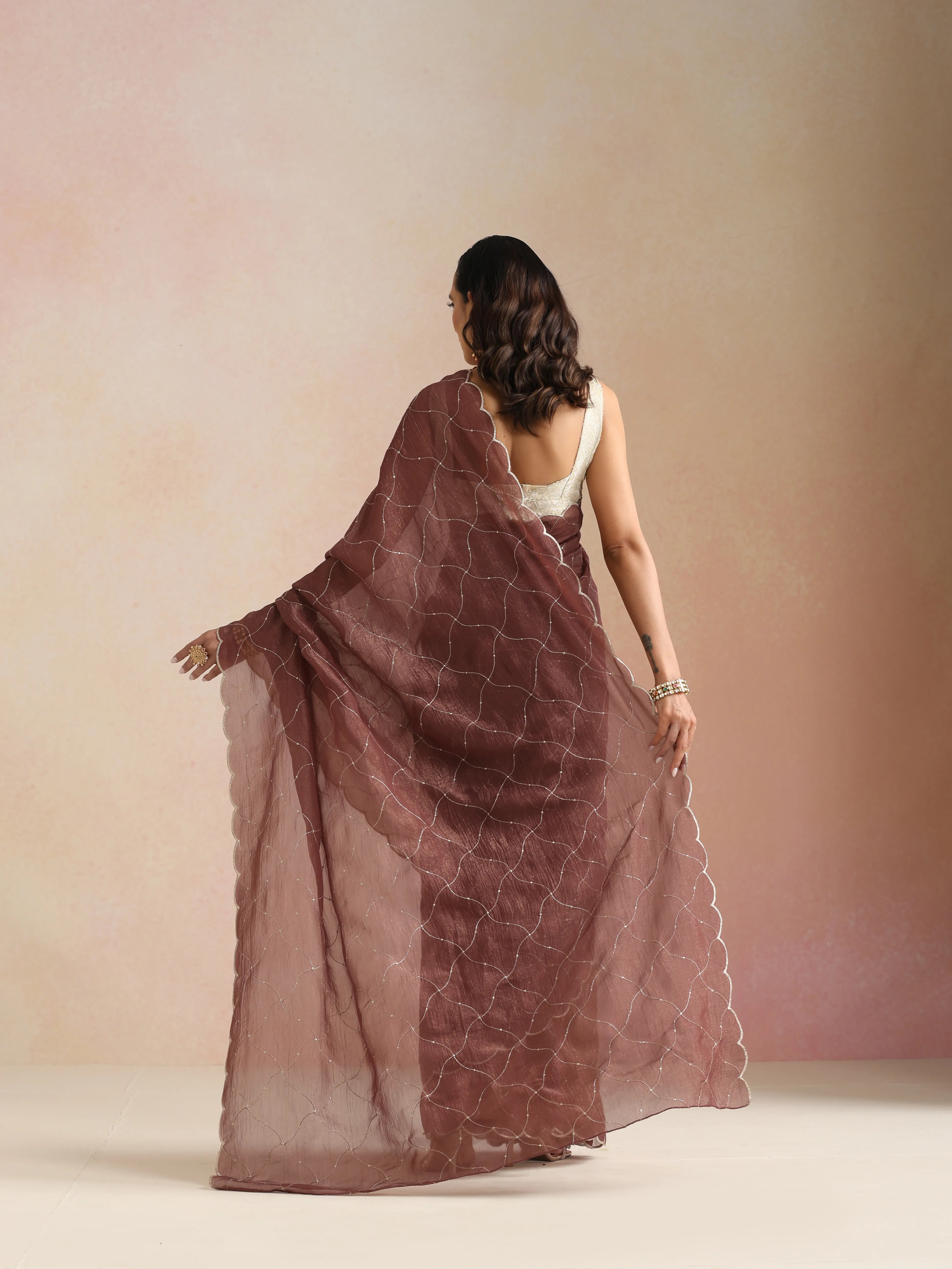 trueBrowns Copper Zari Jaal Embroidered Saree With Unstitched Blouse